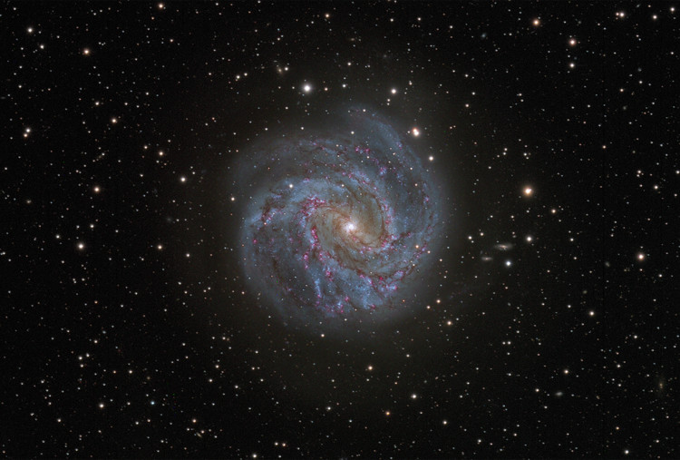 M 83
