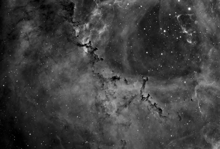 NGC 2244
