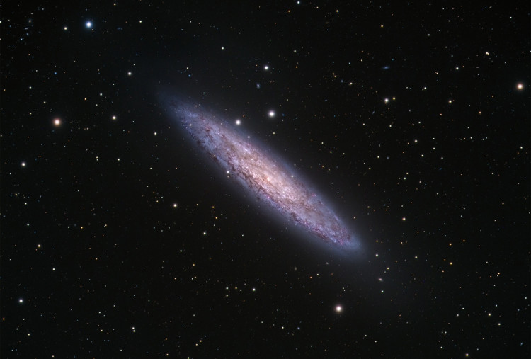 NGC 253