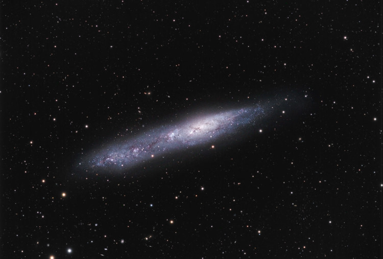 NGC 55