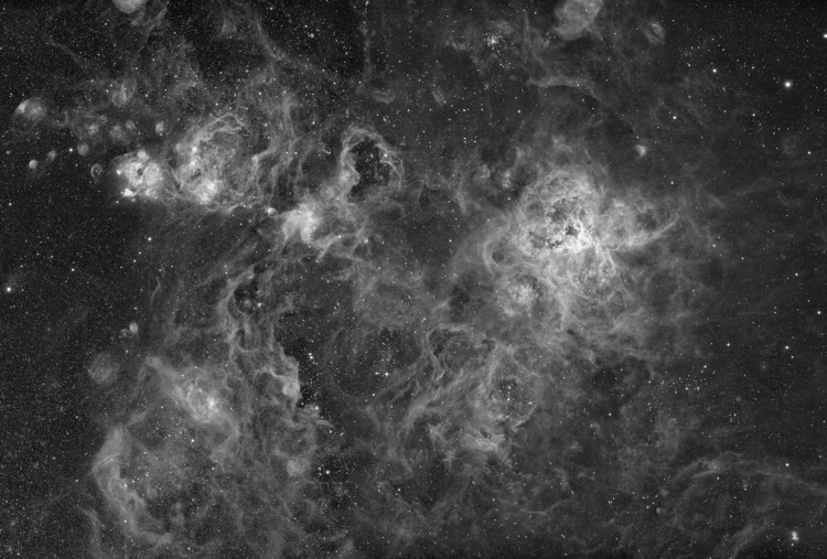 NGC 2070 & 2080