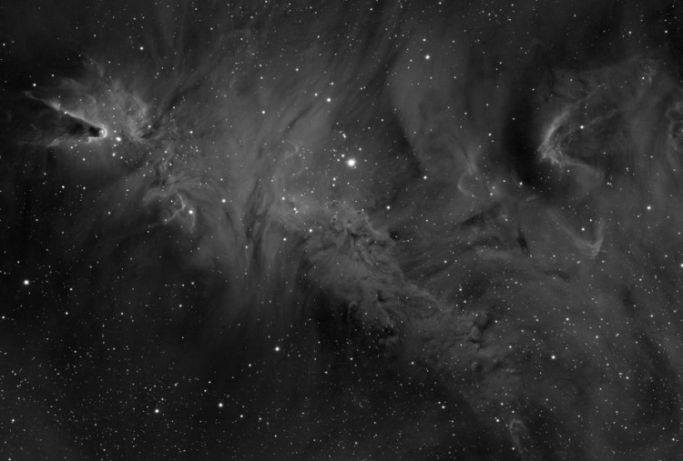 NGC 2264 Cone and Foxfur Nebulae
