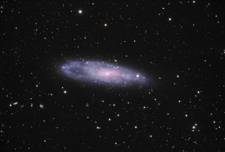 NGC 247